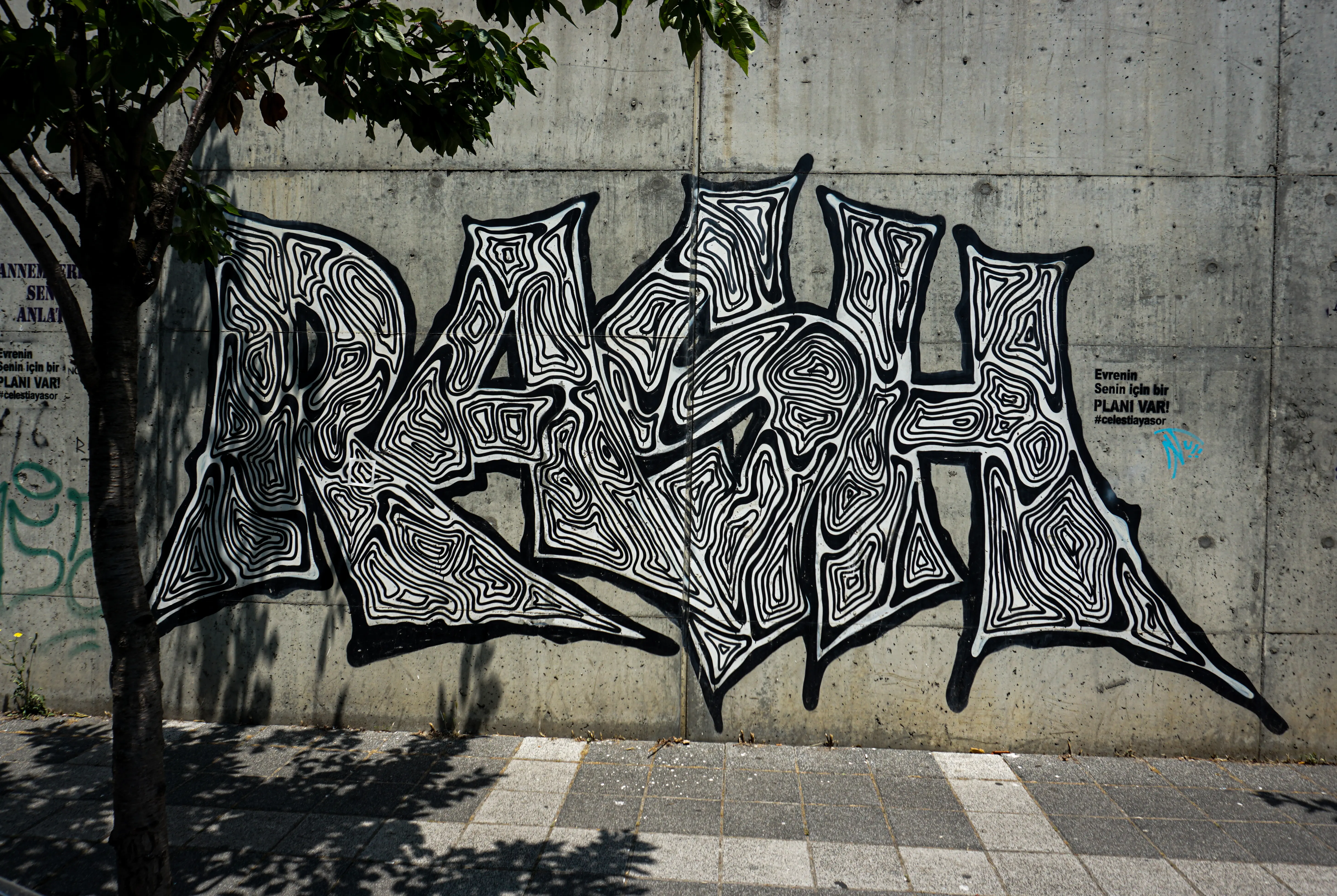 Rash 2